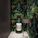 bagno-moderno-rivestimento-floreale-jungle-style